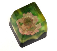 MASSDROP BKD 4 SEASONS RESIN  WOOD ARTISAN KEYCAP MDX-22235-2 picture