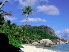 Landscape island tropical palm trees beach Custom Gaming Mat Desk picture