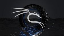 Kali-Linux 2026.1 USB picture