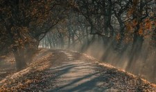 Landscape nature sun rays morning sunlight dirt road Custom Gaming Mat Desk picture