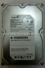Seagate ST3250824AS 250GB SATA Donor Drive P/N:9BD133-042 FW:3.BQK PCB:100387566 picture