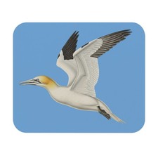 Gannet Mouse Pad bird watcher avian desk office nature seabird USA gift picture