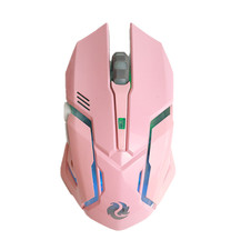 Silent Wireless Gaming Mouse with Fast Charging | Ergonomic RGB LED Design picture