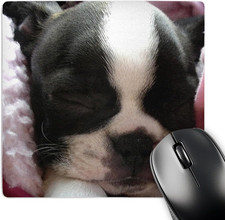 LLC 8 X 8 X 0.25 Inches Mouse Pad, Boston Terrier Puppy (Mp_22237_1) picture