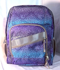 LL Bean Deluxe Book Bag Backpack Laptop Sleeve Padded Straps Purple Teal picture