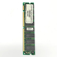 PNY 32x64 PC133 256MB SDRAM DIMM picture