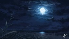 Landscape night moon moonlight lake reeds art Custom Gaming Mat Desk picture