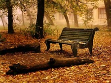 Landscape fall park bench leaves log fallen orange Custom Gaming Mat Desk picture