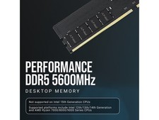 PNY Performance 32GB (2 x 16GB) DDR5 5600 (PC5 44800) Desktop Memory Model picture