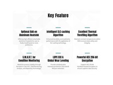 KLEVV K04TBM2SP0-10G CRAS C910G SSD 4TB, M.2 NVMe 2280, PCIe Gen4x4 Solid state picture