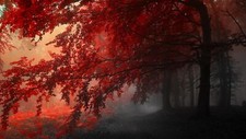 Landscape fall mist red nature trees plants Custom Gaming Mat Desk picture