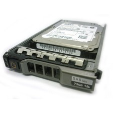 Dell 73GB 15K SAS 6Gb/s 2.5