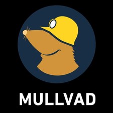 Mullvad VPN Premium for 2 months picture