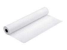 Epson Singleweight Matte Paper Matte Roll A1 x Paper C13S041853 picture