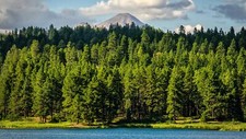 Landscape forest mountains nature Custom Gaming Mat Desk picture