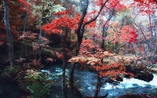 Landscape nature maple leaves trees river japan forest Custom Gaming Mat Desk picture