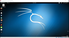 Learning Kali Linux Training picture