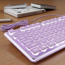 SEUNKWANG EWEADN GX710S Backlit Computer Keyboards, Wired USB Keyboard with W... picture