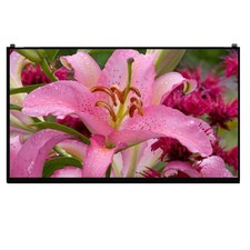New Genuine LG Gram 15Z95N 15.6