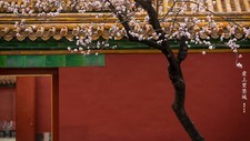 Landscape chinese architecture tree bark the imperial Custom Gaming Mat Desk picture