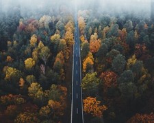 Landscape road trees forest fall Custom Gaming Mat Desk picture