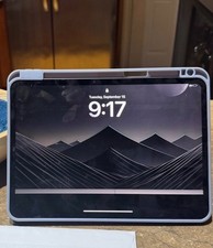 iPad Pro WIFI M4 11 inch 256gb EXCELLENT CONDITION with Apple Care plus picture