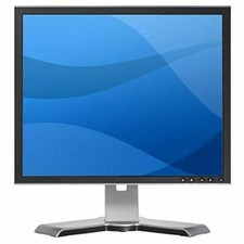 Dell LED Monitor 17