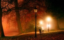 Landscape park lantern trees night mist bench bridge Custom Gaming Mat Desk picture