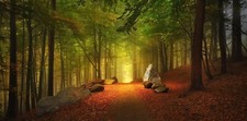 Landscape forest path fall leaves hills trees germany Custom Gaming Mat Desk picture