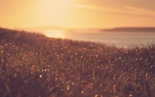 Landscape nature grass sunset Custom Gaming Mat Desk picture