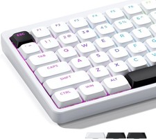XVX Low Profile White Keycaps Shine Through Double Shot PBT MX Switches Set picture