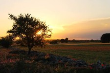 Landscape puglia murgia italy nature low Custom Gaming Mat Desk picture