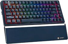 Hexgears E2 Pro Wireless Mechanical Keyboard RGB Backlit 2.4G USBC Hot Swappabl picture