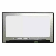 Dell DP/N 0GV250 GV250 OGV250 LCD LED Screen 16
