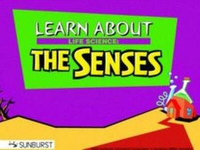 Learn About Life Science: The Senses PC MAC CD smell taste sight home schooling picture