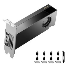 PNY NVIDIA RTX 2000, Ada Generation 16GB, DDR6, 128-Bit Graphics Card picture
