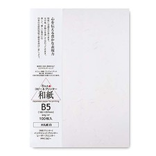 ONAO Dainao Copy Paper Washi Paper Value Pack White B5 100 Sheets 207050101from picture