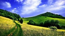 Landscape field nature summer trees path Custom Gaming Mat Desk picture