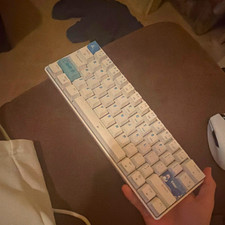 DIERYA DK61SE 60% Mechanical Wired USB-C Keyboard White Illuminated QWERTY picture