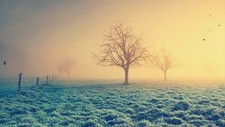 Landscape filter nature trees mist grass winter birds Custom Gaming Mat Desk picture