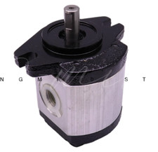 1PC NEW FIT FOR 1P2R11N Replacement Gear Pumps FedEx or DHL picture