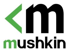 Mushkin Redline DDR4 Kit 2 x 16 32GB DDR4 260-pin 3200MHz MRA4S320NNNF16GX2 picture