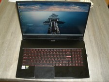 MSI 17.3