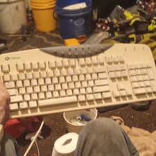 Vintage Gateway SK-9920 PS/2 Multimedia Keyboard White Wired QWERTY PC Desktop picture