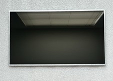 LG Display 17.3