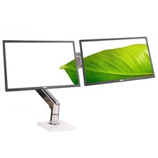 Dual Dell Professional P2217 22