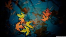 Landscape leaves water fall nature plants closeup Custom Gaming Mat Desk picture