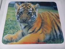 Cute Baby Tiger Cub Computer Mouse Pad picture
