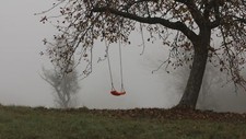 Landscape trees mist swings outdoors depressing gloomy Custom Gaming Mat Desk picture