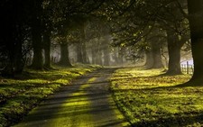 Landscape nature sun rays road trees grass green fence Custom Gaming Mat Desk picture